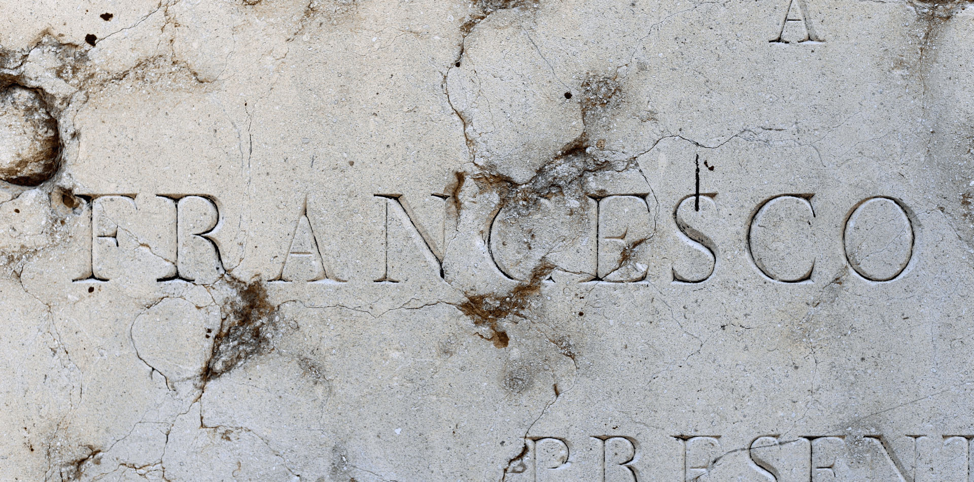 wilmar-slider-thumb-(2)