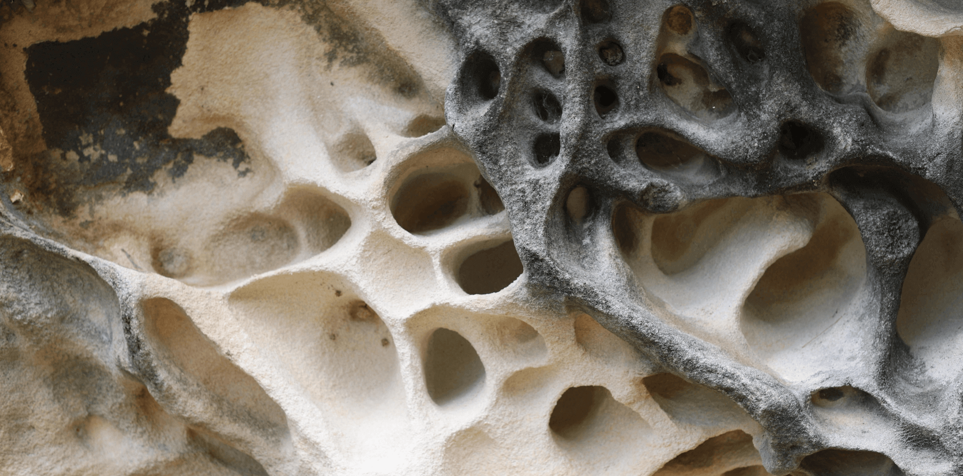 wilmar-slider-thumb (7)